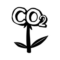 FFH-Thriving-CO2