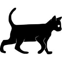 FFH-Fun-black-cat