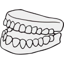 FFH-Fun-false-teeth