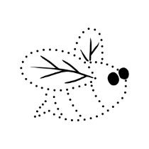 FFH-Open-Dots-Bee