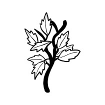 FFH-Thriving-Stem-Leaves